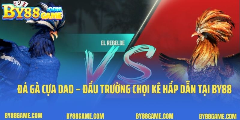 Đá Gà Cựa Dao – Đấu Trường Chọi Kê Hấp Dẫn Tại By88