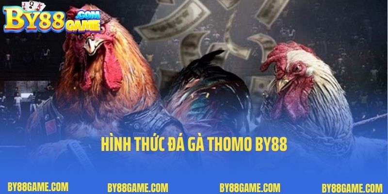 Hình thức đá gà Thomo By88