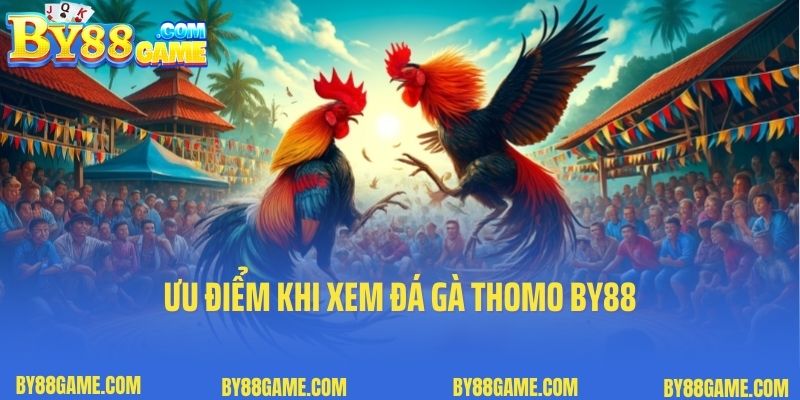 Ưu điểm khi xem đá gà Thomo By88