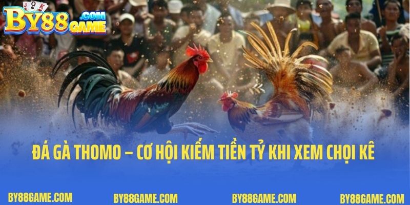 Đá Gà Thomo – Cơ Hội Kiếm Tiền Tỷ Khi Xem Chọi Kê Mãn Nhãn