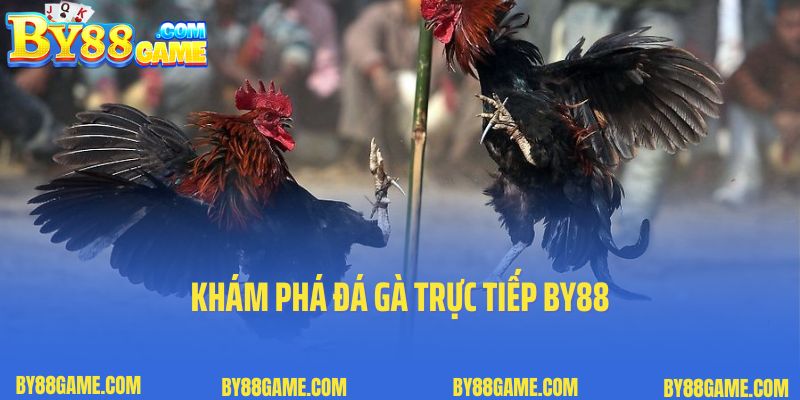 Khám phá đá gà trực tiếp By88