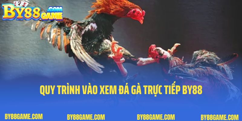 Quy trình vào xem đá gà trực tiếp By88