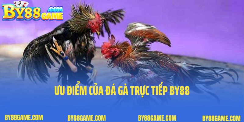 Ưu điểm của đá gà trực tiếp By88