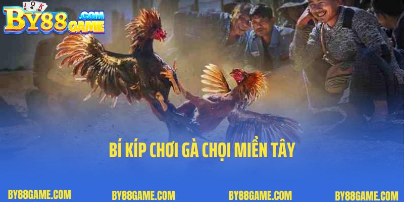 Bí kíp chơi gà chọi miền Tây